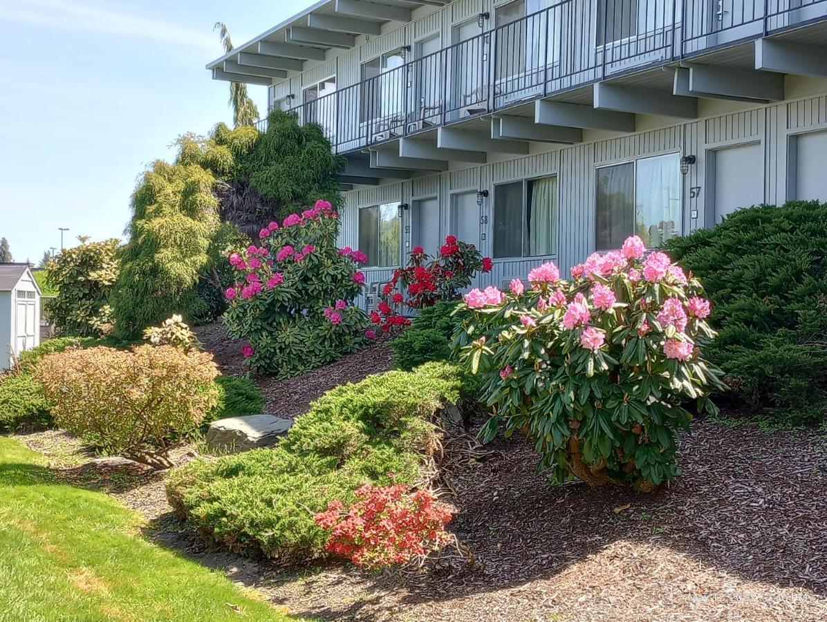 Cocusa Motel Burlington Zewnętrze zdjęcie